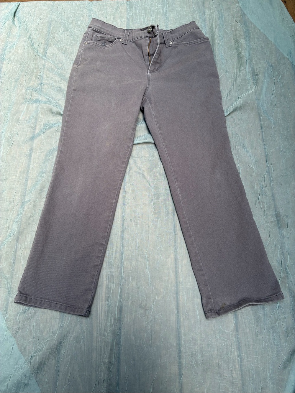 Gloria Vanderbilt “Amanda” Gray Jeans Size 10 PS